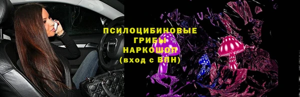 гидра Богородск