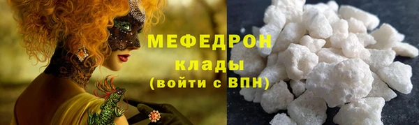гидра Богородск