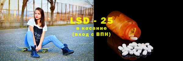 гидра Богородск