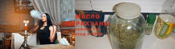 гидра Богородск