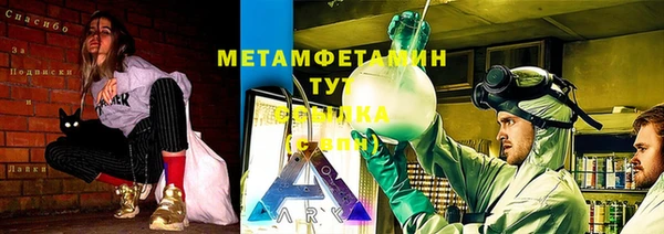 гидра Богородск