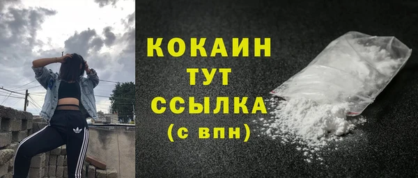гидра Богородск