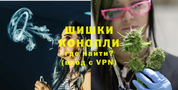 гидра Богородск