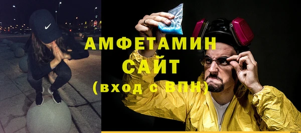 гидра Богородск