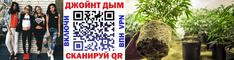 Бошки Шишки гибрид Шахты